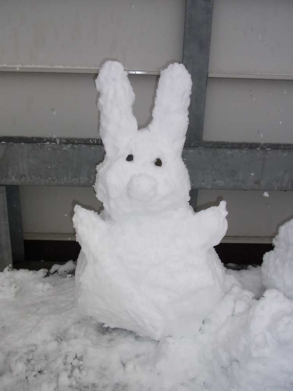 neo-country : うさぎの雪だるま neo-country : うさぎの雪だるま
