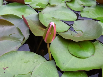 0707